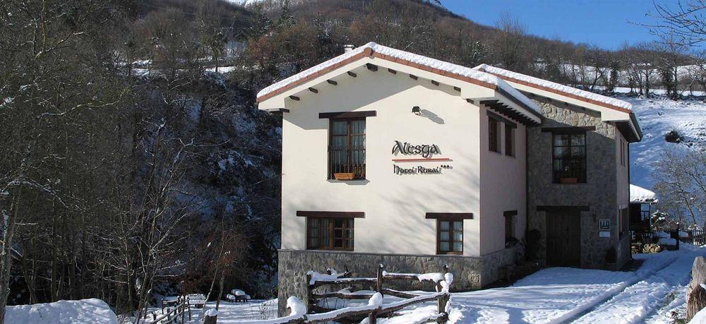 Alesga Hotel Rural - Valles Del Oso -Asturias San Salvador  Extérieur photo