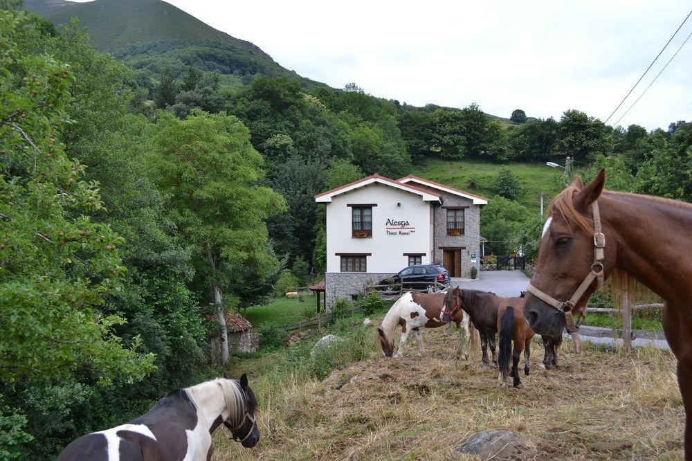 Alesga Hotel Rural - Valles Del Oso -Asturias San Salvador  Extérieur photo