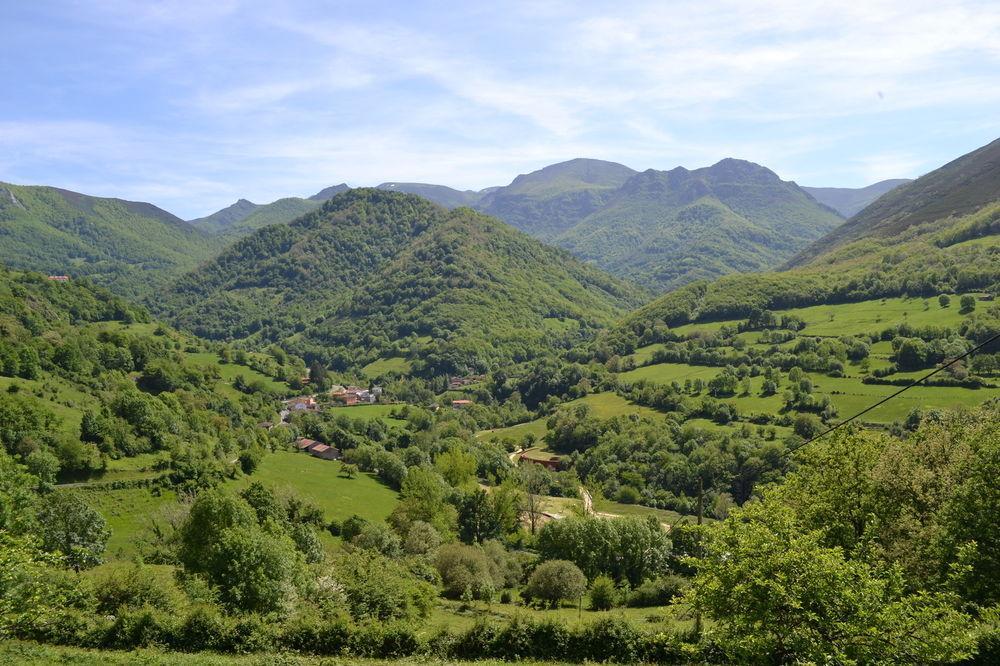 Alesga Hotel Rural - Valles Del Oso -Asturias San Salvador  Extérieur photo