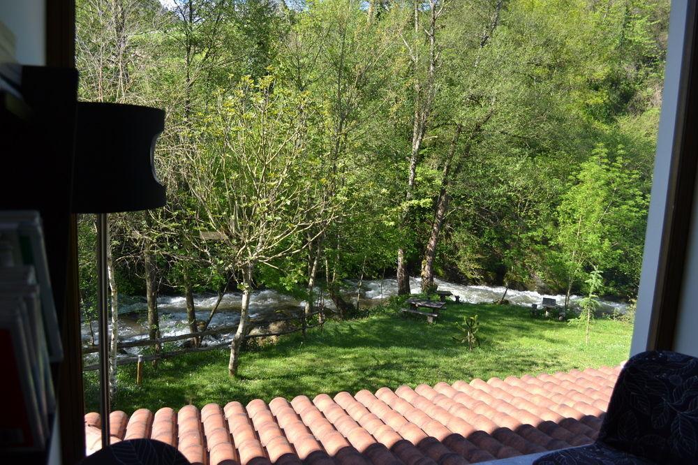 Alesga Hotel Rural - Valles Del Oso -Asturias San Salvador  Extérieur photo