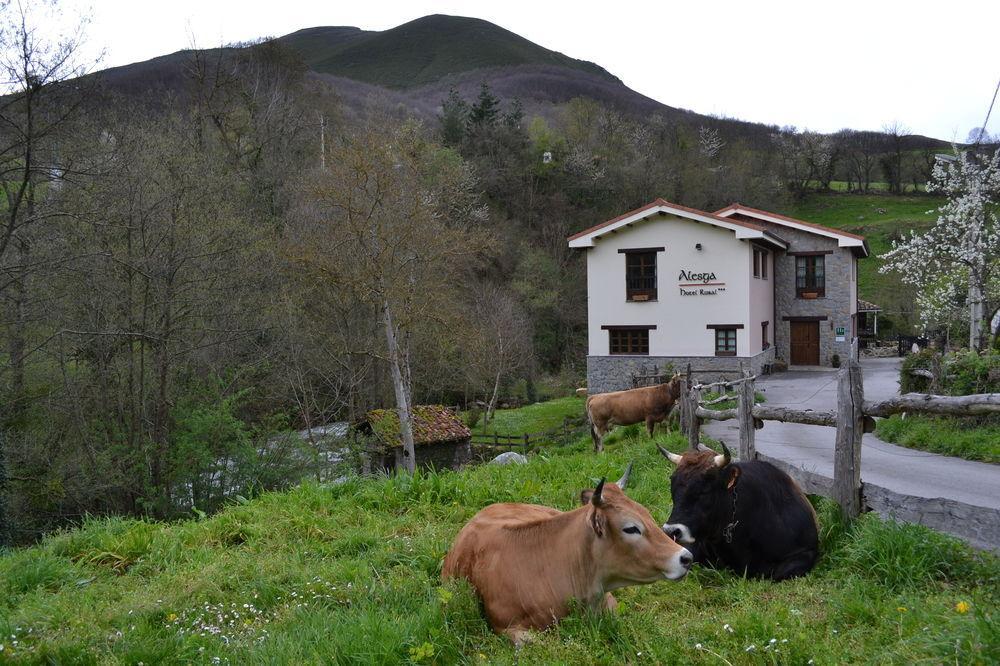 Alesga Hotel Rural - Valles Del Oso -Asturias San Salvador  Extérieur photo
