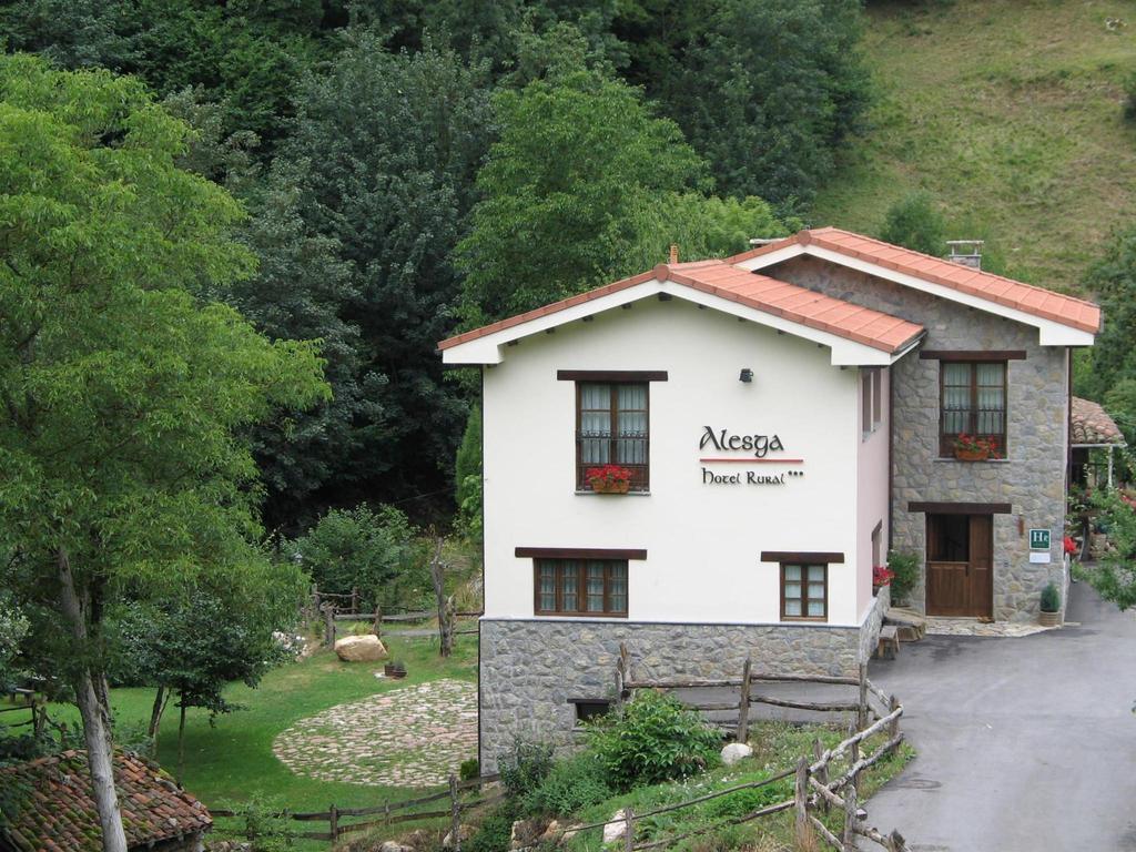 Alesga Hotel Rural - Valles Del Oso -Asturias San Salvador  Extérieur photo