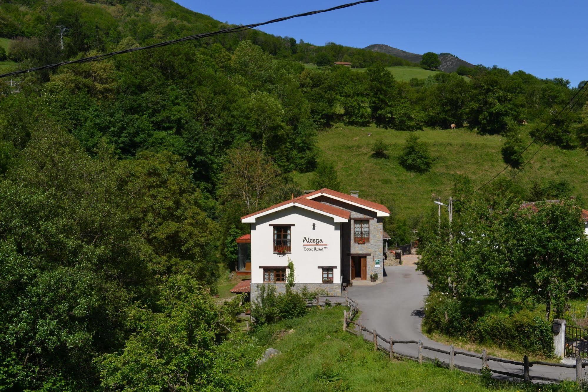 Alesga Hotel Rural - Valles Del Oso -Asturias San Salvador  Extérieur photo