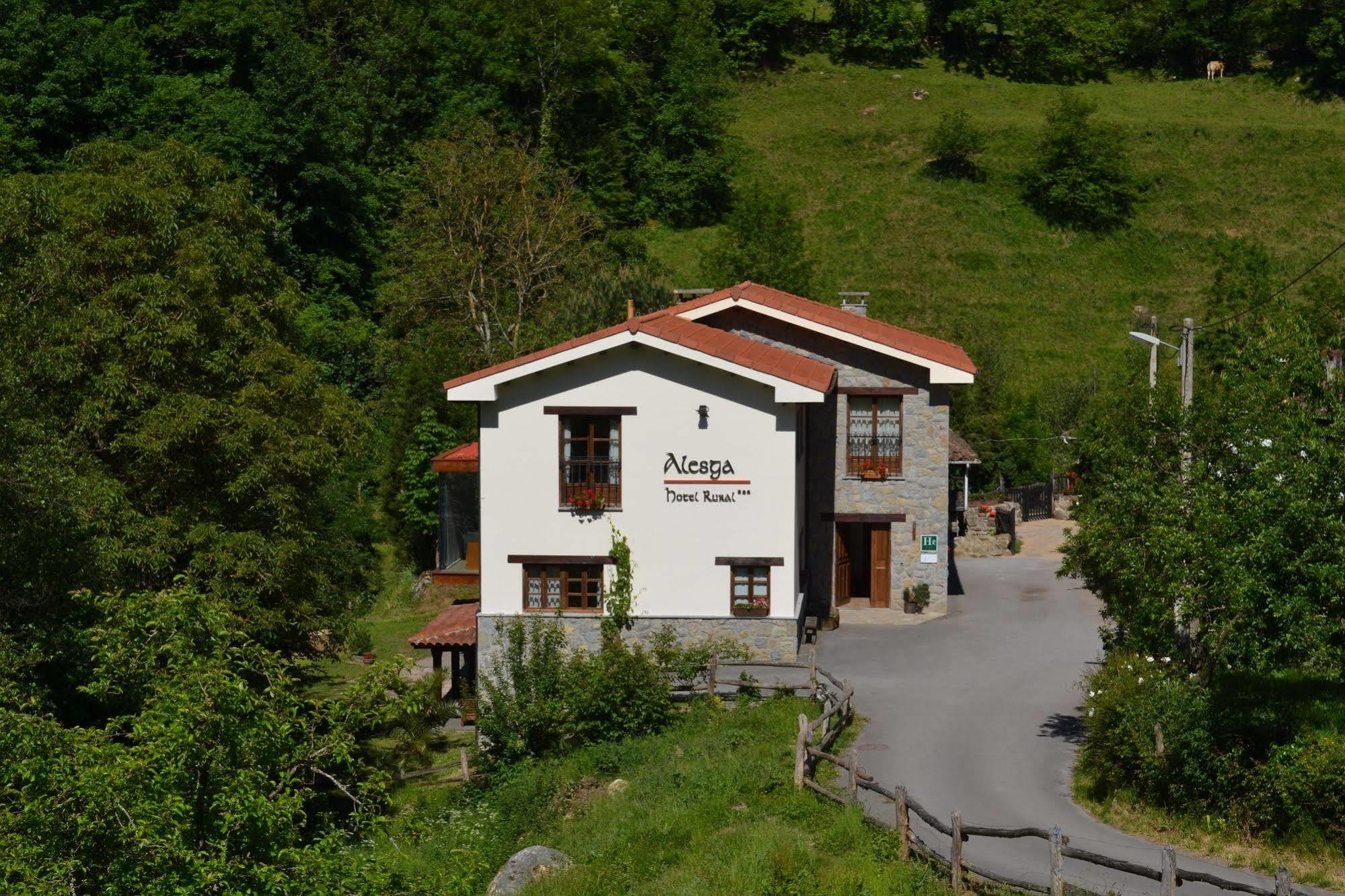 Alesga Hotel Rural - Valles Del Oso -Asturias San Salvador  Extérieur photo