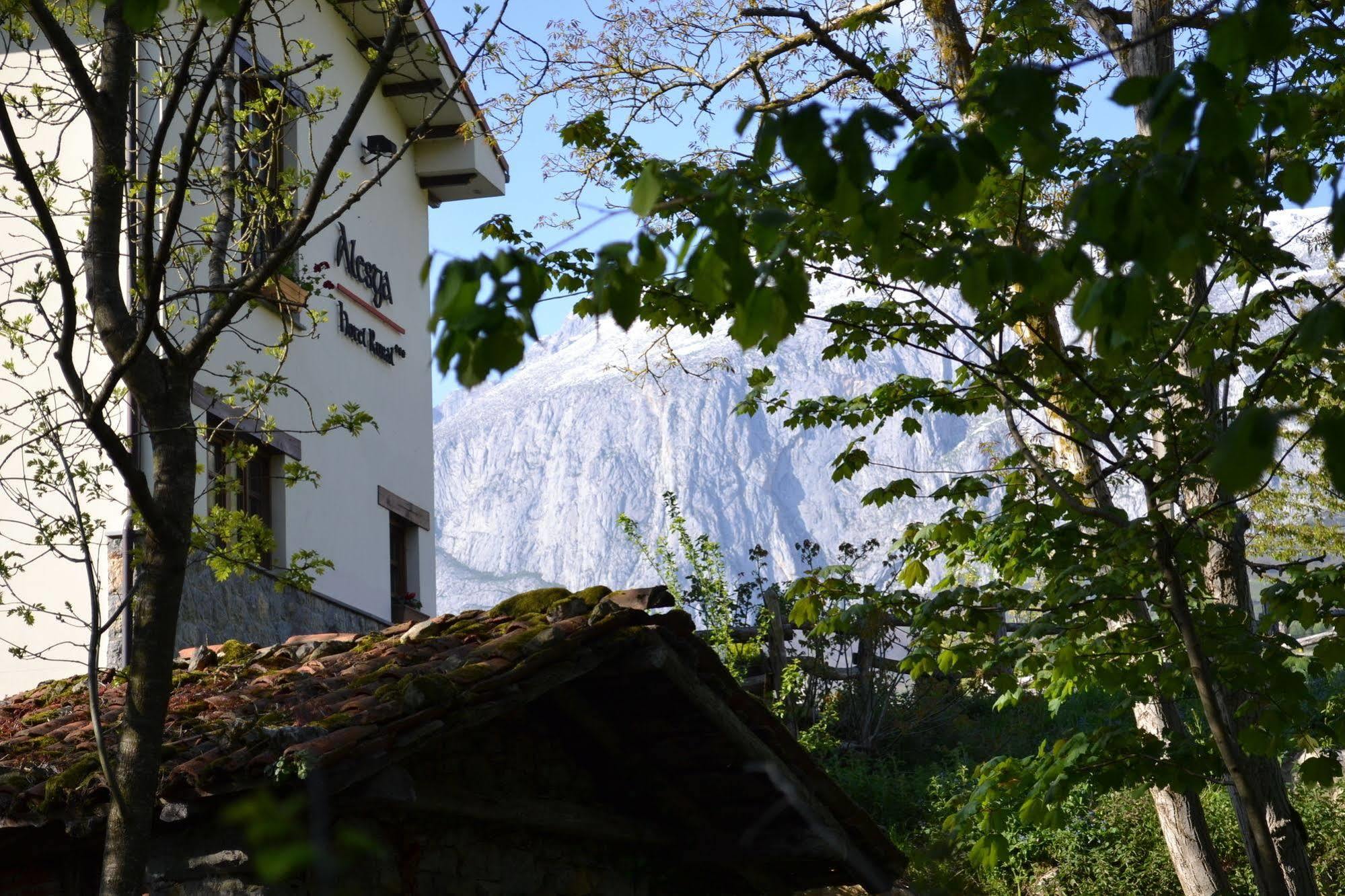 Alesga Hotel Rural - Valles Del Oso -Asturias San Salvador  Extérieur photo